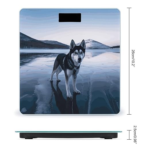 Digital Bathroom Scale for Body Weight Scale with Bright LCD Display High Accuracy Step-On Technology Auto On/Off Husky Dog on A Frozen Lake Digital Scales 400 Lbs /180kg