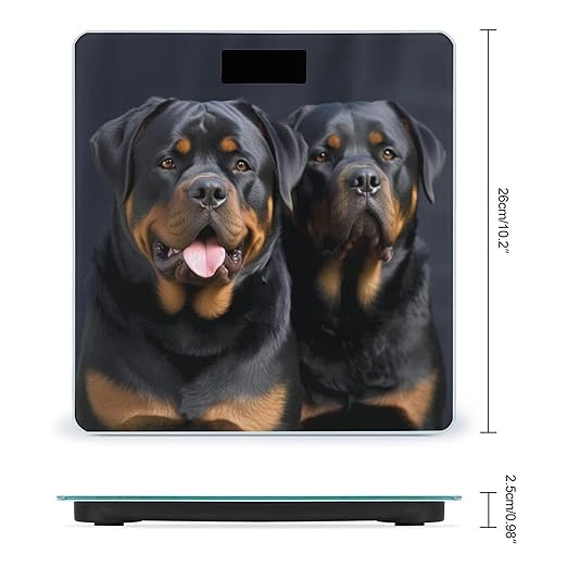 Digital Bathroom Scale for Body Weight Scale with Bright LCD Display High Accuracy Step-On Technology Auto On/Off Rottweiler Wallpaper Digital Scales 400 Lbs /180kg