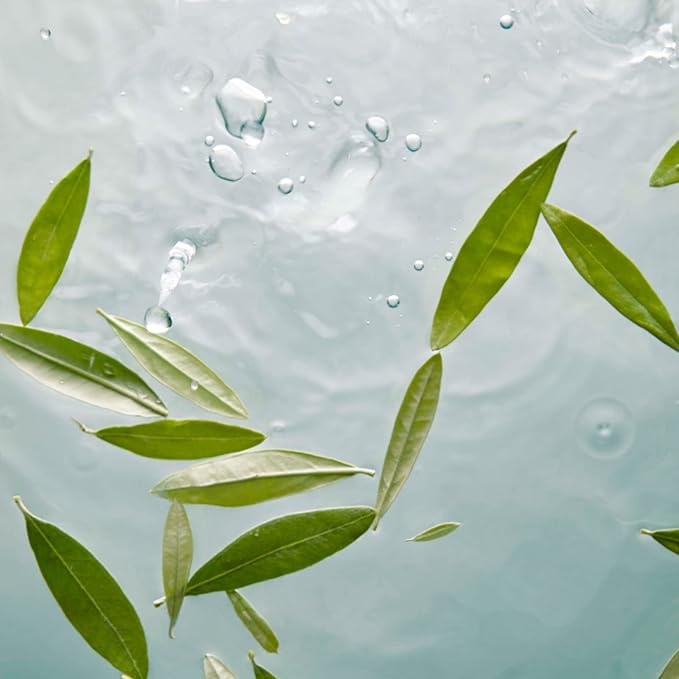 Olive Complex Shower Bath