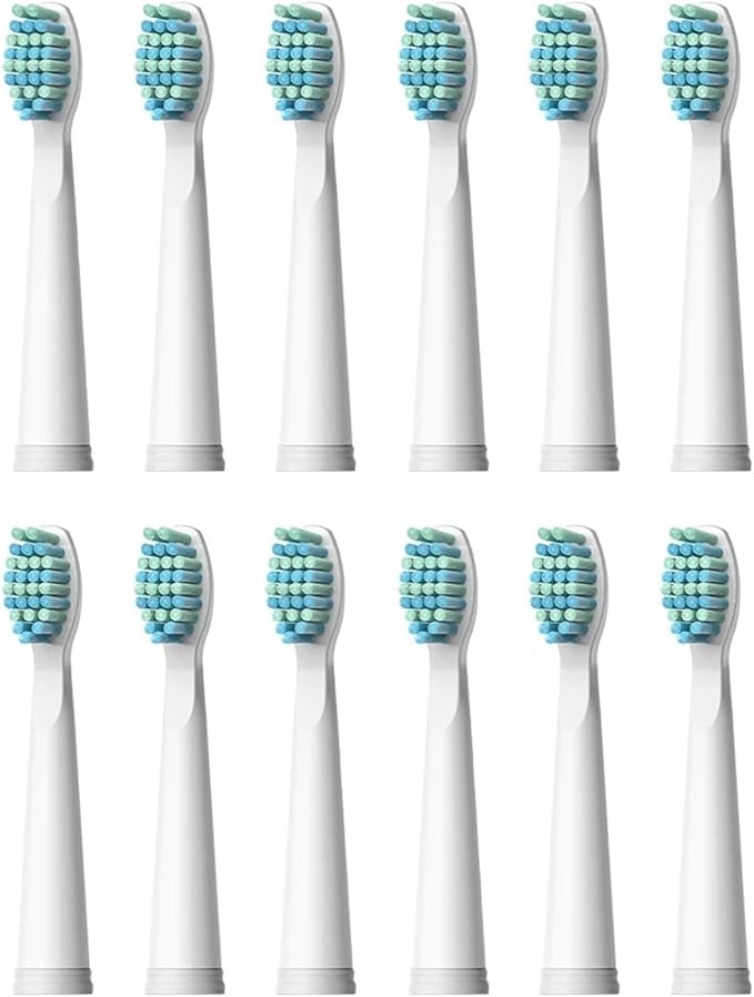 Electric Toothbrushes Replacement Heads Toothbrush Heads Sets for FW-507 FW-508 FW-917 Head(FW01(3pack-12pcs))
