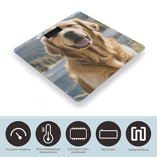 Digital Bathroom Scale for Body Weight Scale with Bright LCD Display High Accuracy Step-On Technology Auto On/Off Golden Retrievers Digital Scales 400 Lbs /180kg