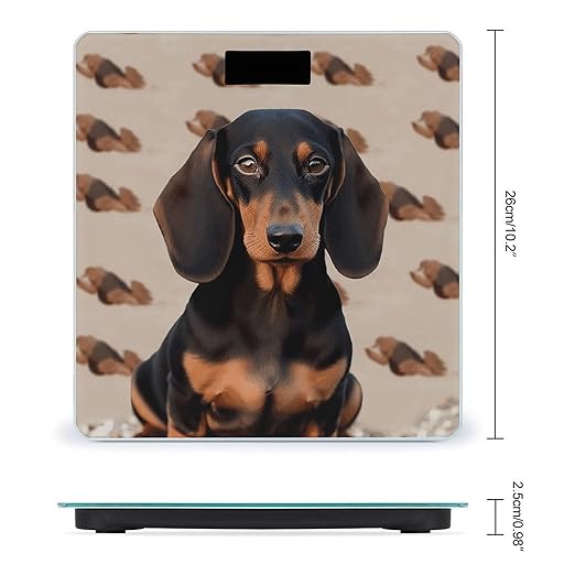 Dachshund Dog Bathroom Scale for Body Weight Bathroom Digital Electronic Weighing Scale with Back Lit LED Display Sturdy Tempered Glass Weight Watchers Scales 400lb