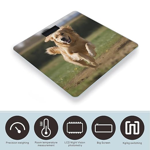 Golden Retriever Running Scale for Body Weight Highly Accurate Digital Bathroom Scale Sturdy Tempered Glass Weighing Scales with LCD Display Fashion Body Fat Smart Scales 400lb