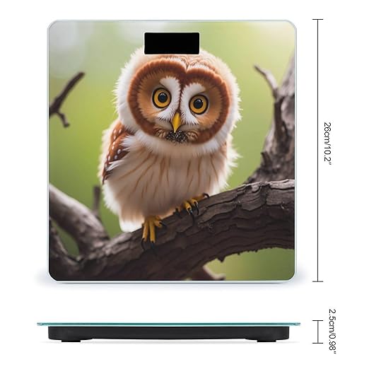 Real Cute Owls Scale for Body Weight Digital Bathroom Scale Toughened Glass High Precision Scales for Body Weight with Large LCD Backlight Display Weight Scales