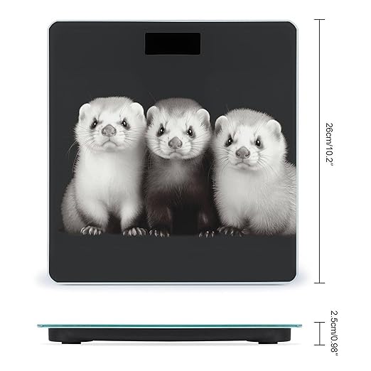 Digital Bathroom Scale for Body Weight Scale with Bright LCD Display High Accuracy Step-On Technology Auto On/Off Ferrets Digital Scales 400 Lbs /180kg