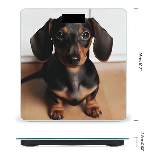 Cute Wiener Sausage Dog Bathroom Scale Automatic Power On/Off Body Scales LCD Backlight Display Square Digital Scale Rounded Corners Bathroom Scales for Home Bedrooms