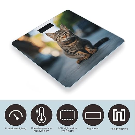 Brown Tabby Kitten Bathroom Scale for Body Weight Bathroom Weighing Scale with Backlit LCD Display Highly Accurate Measures Weight Up to 180kg