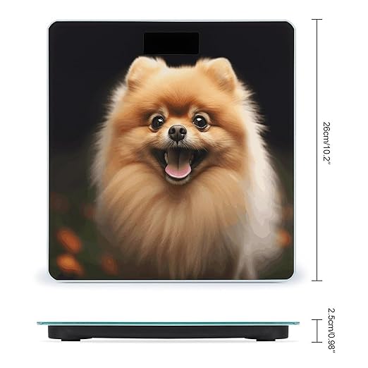 PomeranianScale for Body Weight with LCD High Precision Weighing Scales Fashion Sturdy Tempered Glass Weight Scales Easy-to-Read Digital Bathroom Scale for Daily 400lb
