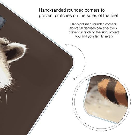 Cute Raccoon2 Bathroom Scale for Body Weight Bathroom Digital Electronic Weighing Scale with Back Lit LED Display Sturdy Tempered Glass Weight Watchers Scales 400lb