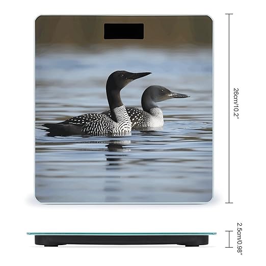 Loon BirdsScale for Body Weight with LCD High Precision Weighing Scales Fashion Sturdy Tempered Glass Weight Scales Easy-to-Read Digital Bathroom Scale for Daily 400lb