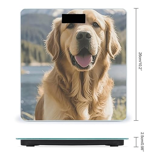 Digital Bathroom Scale for Body Weight Scale with Bright LCD Display High Accuracy Step-On Technology Auto On/Off Golden Retrievers Digital Scales 400 Lbs /180kg