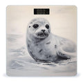 Harp Seal Painting Bathroom Scale Rounded Smart Scale for Body Weight Automatic Power On/Off Weight Scales Accurate Bathroom Digital Scales for Pet Home Bedroom Kitchen