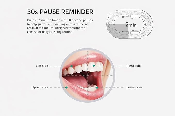 Electric Toothbrush for Adults Rechargeable Cordless Power Toothbrush with 6 Modes 4 Brush Heads 2-Min Timer Electric Tooth Brush Adult Black White Pink (Pink 1 Handle 4 Heads)