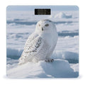 Snowy Owl on The Ice Weight Scale Cute Bathroom Scale for Body Highly Accurate Digital Weighing Machine for People Compact LCD Display Scales with Sturdy Toughened Glass Scales