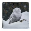 Snow Owl Bathroom Scale Large LCD Backlight Display Digital Scale Rounded Corners Body Scales Automatic Power On/Off Bathroom Scales for Home Bedrooms