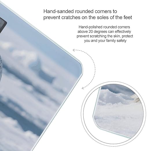 Snowy Owl on The Ice Weight Scale Cute Bathroom Scale for Body Highly Accurate Digital Weighing Machine for People Compact LCD Display Scales with Sturdy Toughened Glass Scales