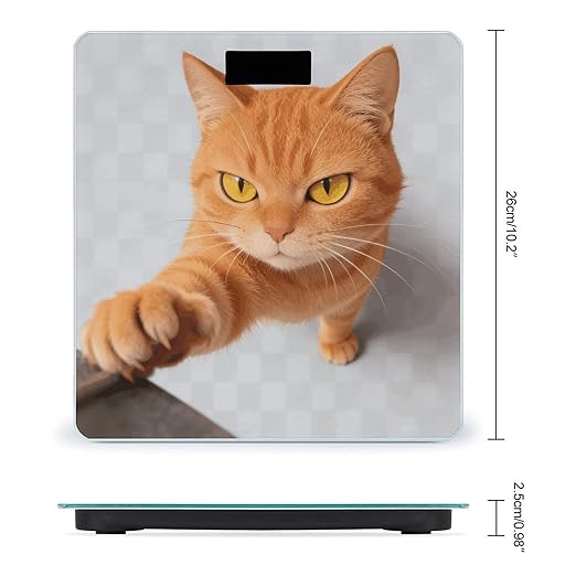 Cartoon Cat Orange Smart Scale for Body Weight Digital Bathroom Scale Toughened Glass Weight Scale with Large LCD Backlight Display High Precision Scales Weighing Machine
