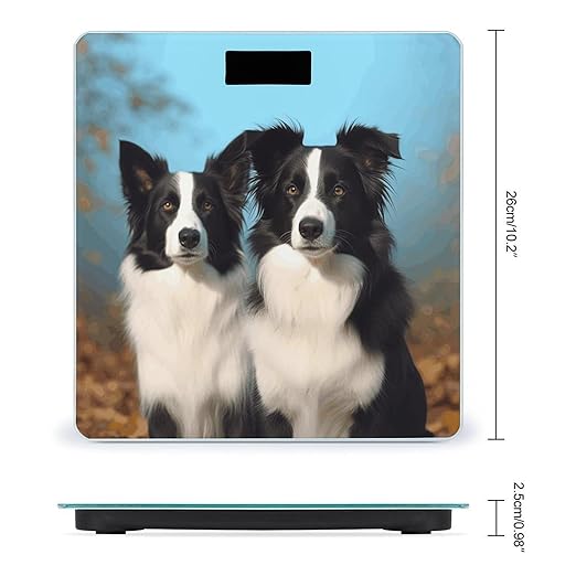 Border Collie Scale for Body Weight Safe Rounded Corners Tempered Glass Digital Bathroom Scale LED Display 400lb Capacity Weight Scales with High Precision Sensors