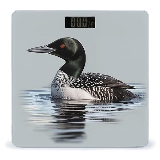 Digital Bathroom Scale for Body Weight Scale with Bright LCD Display High Accuracy Step-On Technology Auto On/Off Loon Nature Bird Digital Scales 400 Lbs /180kg