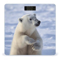 Polar Bear Scale with LCD Precision Weighing Scales Sturdy Tempered Glass Weight Scales Easy-to-Read Anti-Slip Weight Digital Bathroom Scale for Daily