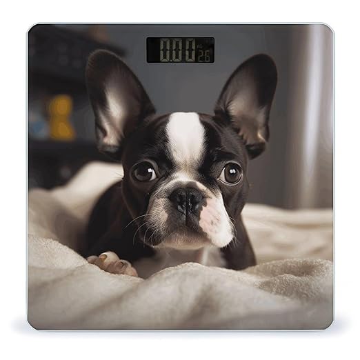 Cute Boston Terrier Bathroom Scale Large LCD Backlight Display Digital Scale Rounded Corners Body Scales Automatic Power On/Off Bathroom Scales for Home Bedrooms