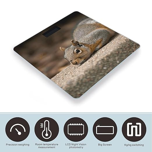 Squirrel Just Laying Bathroom Scale Ultra-Bright Liquid Crystal Screen Weight Scale Accurate Bathroom Body Scales for Body Weight Bathroom Pet Home Bedroom Gift-Giving