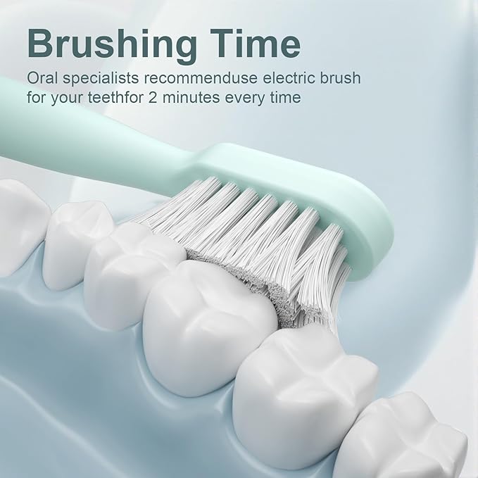 Rechargeable Sonic Toothbrush with Drying Holder 8 Brush Heads Smart Timer Waterproof Design – Mint Green Edition