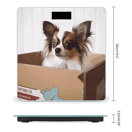 Papillon in The Box Bathroom ScaleHighly Accurate Digital Weighing Machine for People Bright LED Display Weight Scale for The Aldult Home Use