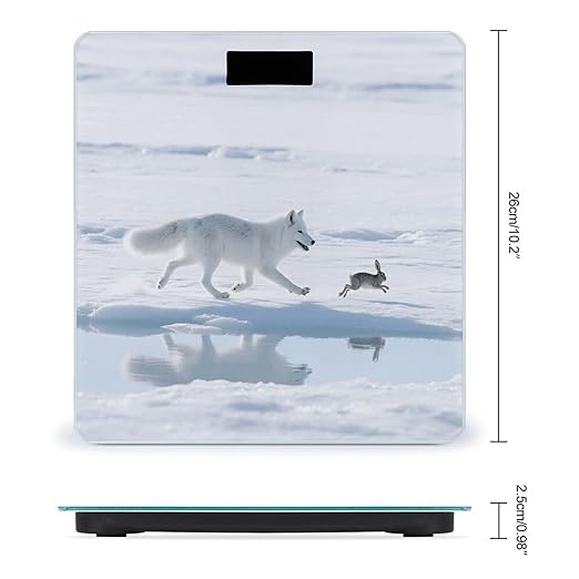 Arctic Fox Chases Weight Scale Cute Bathroom Scale for Body Highly Accurate Digital Weighing Machine for People Compact LCD Display Scales with Sturdy Toughened Glass Scales