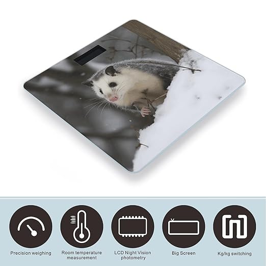 Opossum in SnowScale for Body Weight with LCD High Precision Weighing Scales Fashion Sturdy Tempered Glass Weight Scales Easy-to-Read Digital Bathroom Scale for Daily 400lb
