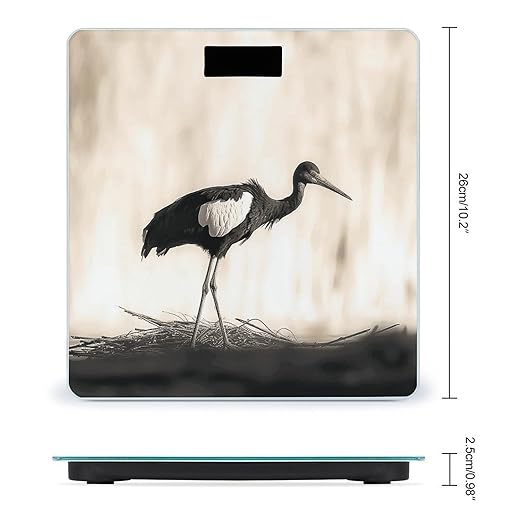 Black Stork Bathroom Scale Ultra-Bright Liquid Crystal Screen Weight Scale Accurate Bathroom Body Scales for Body Weight Bathroom Pet Home Bedroom Gift-Giving
