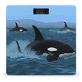 Killer Whales Swim Along Smart Scale for Body Weight Accurate Bathroom Scale with LED Display Digital Weight Scales Weighing Machine High Precision Scales for Bath Home