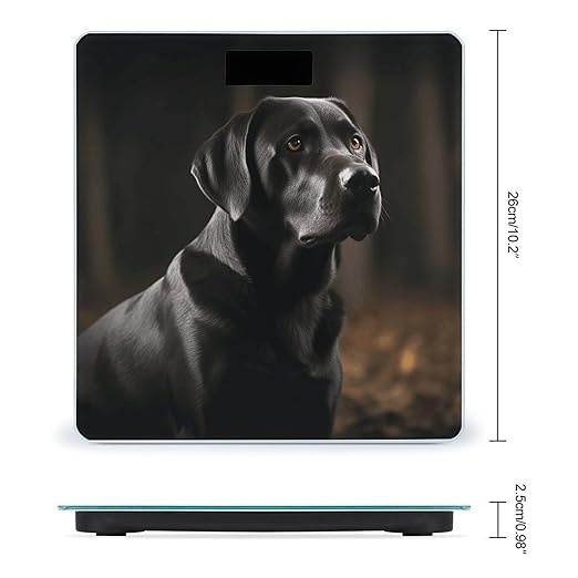 Black Labrador Weight Scale for Body Weight Digital Bathroom Scale High Capacity Accurate Digital Weighing Scales and Easy-to-Read on Backlit LCD Display Scales