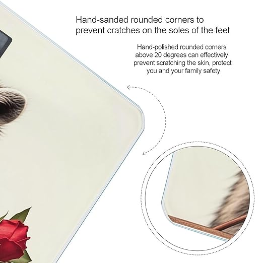 Funny Raccoon Scale for Body Weight Accurate Digital Bathroom Scale Toughened Glass High Precision Scales Smart Weight Scales with Large LCD Backlight Display Weighing Machine