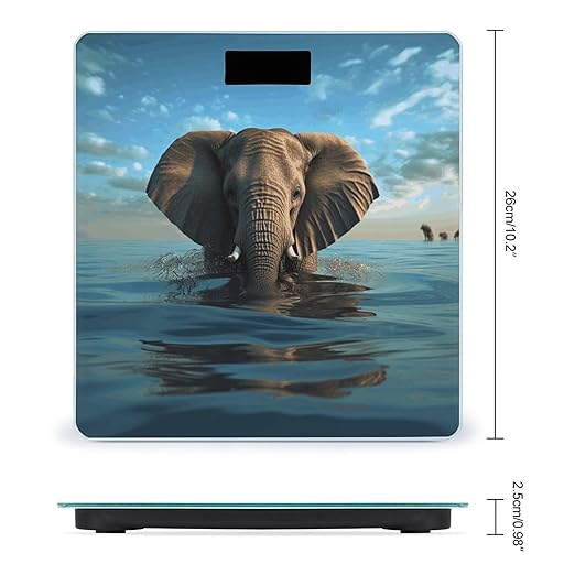 Elephant is Sitting in The Water Bathroom Scale for Body Weight Bathroom Weighing Scale with Backlit LCD Display Highly Accurate Measures Weight Up to 180kg