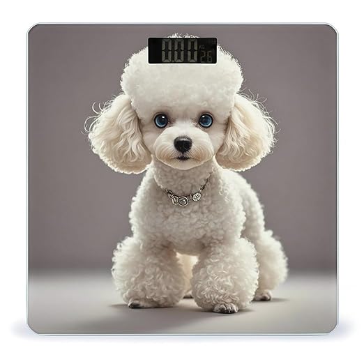 Poodle Scale for Body Weight Digital Bathroom Scale Toughened Glass High Precision Scales for Body Weight with Large LCD Backlight Display Weight Scales