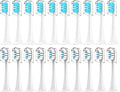 Compatible for T300/T500/T700 Electric Toothbrush Heads Replaceable Refill Nozzles 4 Colors with Anti-Dust Caps 20Pcs(10White10Blue)