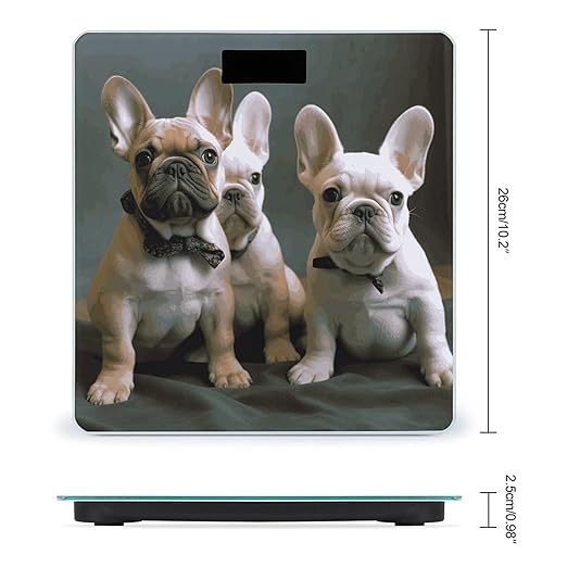 Digital Bathroom Scale for Body Weight Scale with Bright LCD Display High Accuracy Step-On Technology Auto On/Off French Bulldog Puppies Digital Scales 400 Lbs /180kg