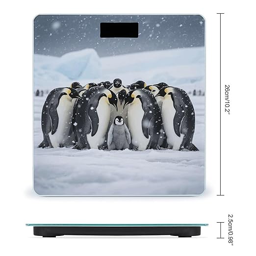Emperor Penguin Huddle Scale for Body Weight Sturdy Tempered Glass Weighing Scales with LCD Display Accurate Digital Bathroom Scale Convenient Body Fat Smart Scales Easy Read