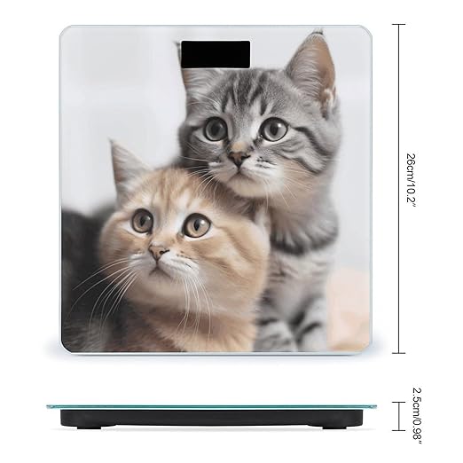 Cats Scale with LCD Precision Weighing Scales Sturdy Tempered Glass Weight Scales Easy-to-Read Anti-Slip Weight Digital Bathroom Scale for Daily