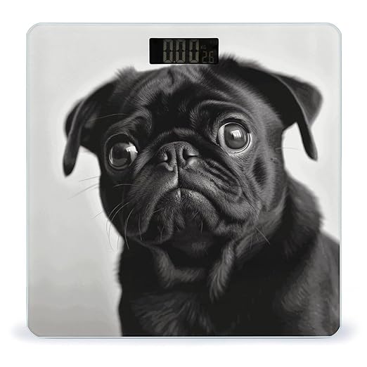 Cute Black Pug Dog Weight Scale Digital Electronic Scales Bathroom Scale Larg LCD Backlight Display High Precision MeasurementsTempered Glass
