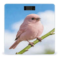 Cute Pink Bird Weight ScaleClear LED Display Bathroom Digital Weighing ScaleTempered Glass Digital Bathroom Scale for Body Weight Capacity Up to 400 Lbs