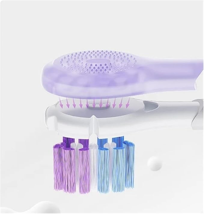 Electric Toothbrush Replacement Brush Head Compatible for HX3/6/9 Series Budget Medium Soft Bristle(YH751-PURPLE)