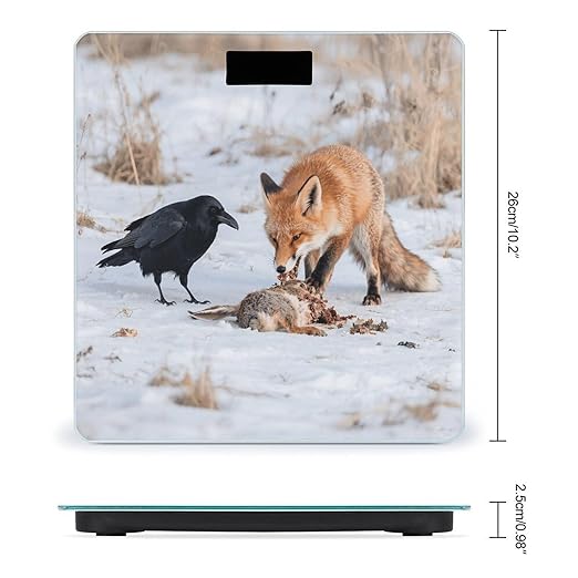 Fox Raven Interaction Scale for Body Weight Sturdy Tempered Glass Weighing Scales with LCD Display Accurate Digital Bathroom Scale Convenient Body Fat Smart Scales Easy Read