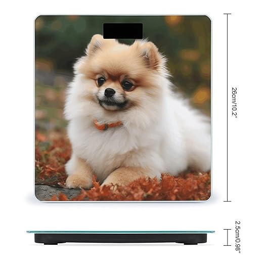 Short-haired Pomeranian Dog Bathroom Scale Large LCD Backlight Display Digital Scale Rounded Corners Body Scales Automatic Power On/Off Bathroom Scales for Home Bedrooms
