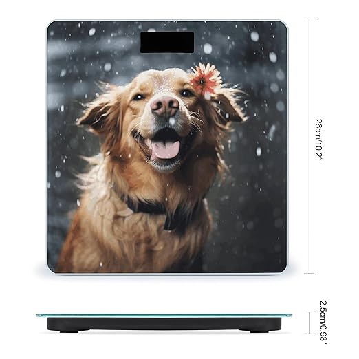 Happy Dog in Rain Scale for Body Weight Accurate Digital Bathroom Scale Toughened Glass High Precision Scales Smart Weight Scales with Large LCD Backlight Display Weighing Machine