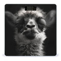 A Little Camel Scale for Body Weight Anti-Slip Tempered Glass Digital Bathroom Scales Clear LCD Display Weighing Scale Safe Rounded Corners Smart Scales