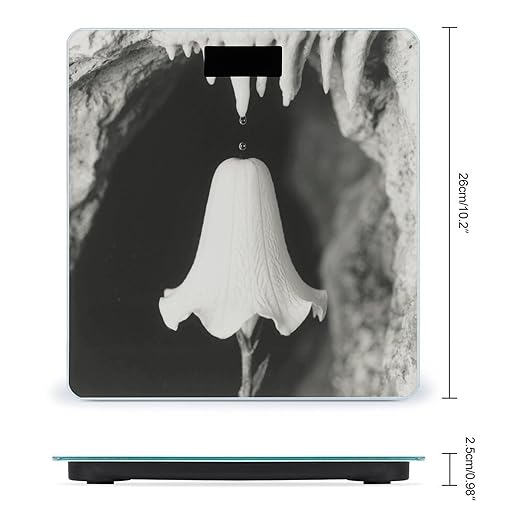 Black and White Flowers Weight Scale Large Digital Bathroom Scales with Bright LED Display Non Slip Digital Scale and Step On Fashion Weighing Machine for Body