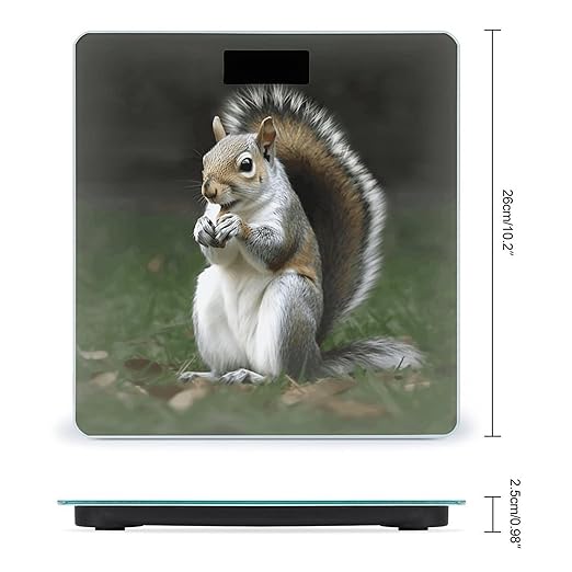 Squirrel Weight Scale for Body Weight Digital Bathroom Scale High Capacity Accurate Digital Weighing Scales and Easy-to-Read on Backlit LCD Display Scales