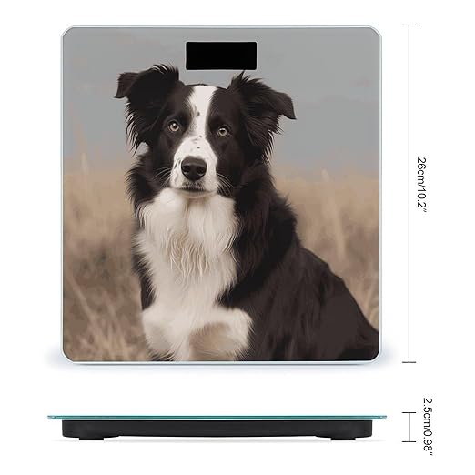 Border Collie Weight Scale Large Bathroom Scales Digital Weight with Bright LED Display Non Slip Automatic Weighing Scale Fashion Weighing Machine for Body